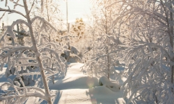 Vinter Söromåsen hälsingland