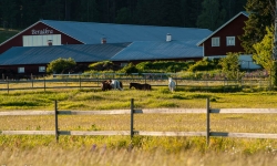 Söromåsen Bergåkra Gård